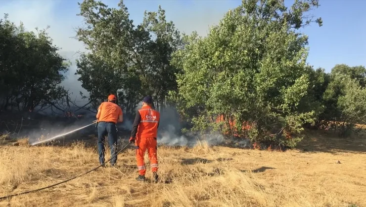 Bingöl’de 2 bölgede çıkan orman ve örtü yangını söndürüldü