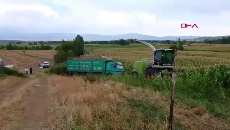 Bingöl’de sözleşmeli çiftçilik modeliyle silajlık mısır hasadı gerçekleştirildi