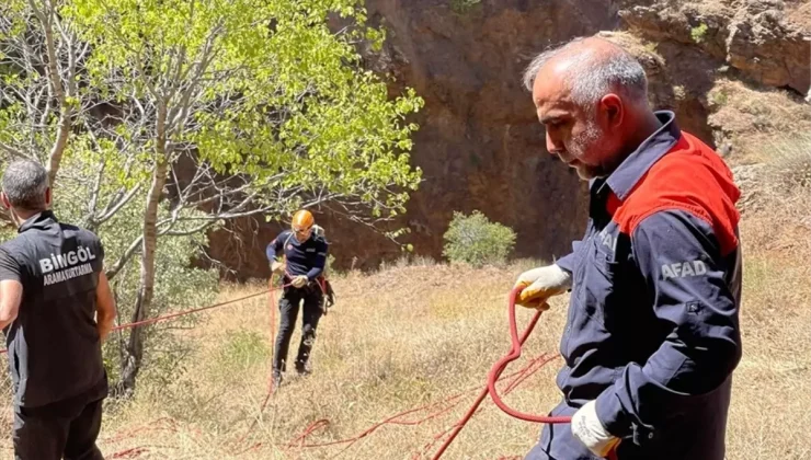 Bingöl’ün Genç ilçesinde mahsur kalan 3 keçi kurtarıldı